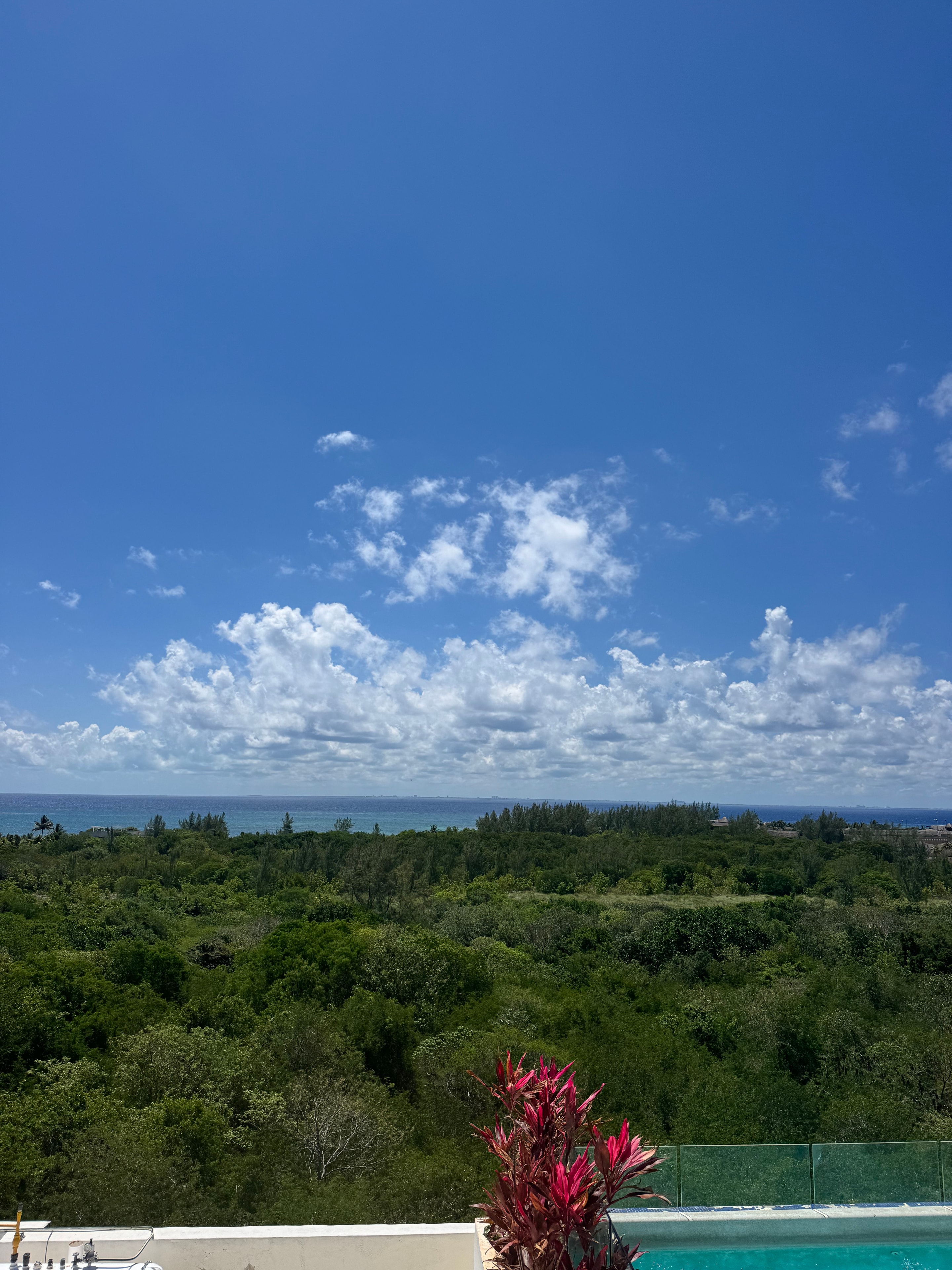 Moon Ha Condominiums — photo 4